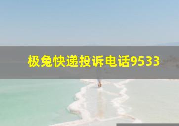 极兔快递投诉电话9533