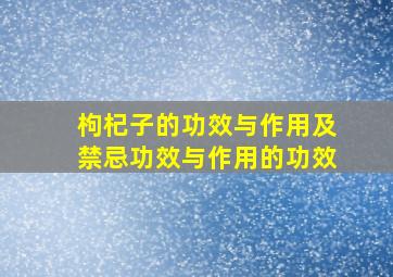 枸杞子的功效与作用及禁忌功效与作用的功效