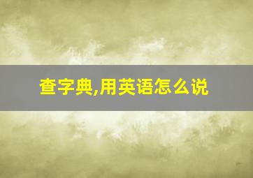 查字典,用英语怎么说