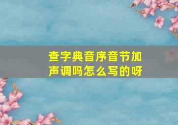 查字典音序音节加声调吗怎么写的呀