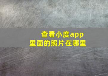 查看小度app里面的照片在哪里