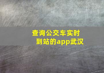 查询公交车实时到站的app武汉