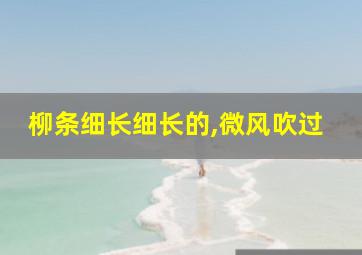 柳条细长细长的,微风吹过