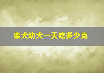 柴犬幼犬一天吃多少克