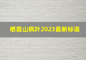 栖霞山枫叶2023最新标语