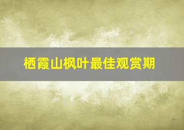 栖霞山枫叶最佳观赏期