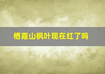 栖霞山枫叶现在红了吗