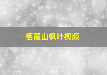 栖霞山枫叶视频