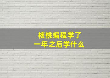 核桃编程学了一年之后学什么