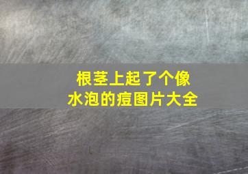 根茎上起了个像水泡的痘图片大全