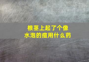 根茎上起了个像水泡的痘用什么药