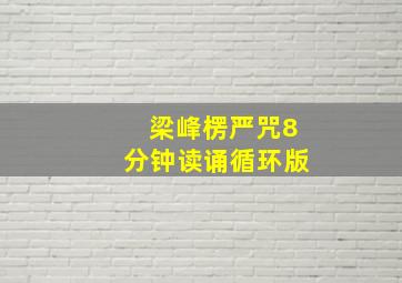 梁峰楞严咒8分钟读诵循环版