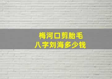 梅河口剪胎毛八字刘海多少钱