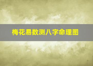 梅花易数测八字命理图