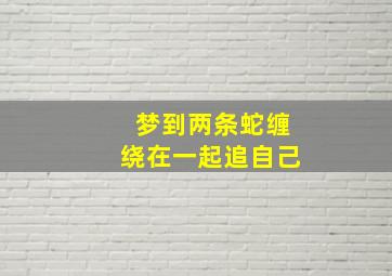 梦到两条蛇缠绕在一起追自己