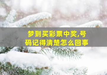 梦到买彩票中奖,号码记得清楚怎么回事