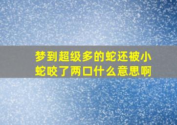 梦到超级多的蛇还被小蛇咬了两口什么意思啊