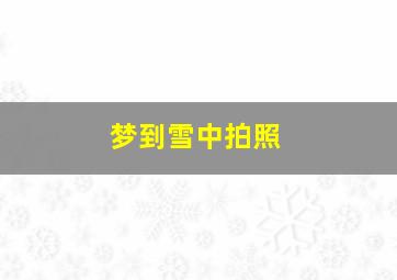 梦到雪中拍照