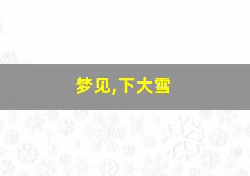 梦见,下大雪