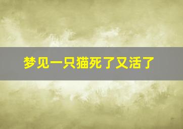 梦见一只猫死了又活了