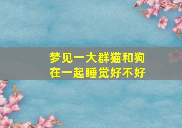 梦见一大群猫和狗在一起睡觉好不好