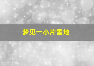 梦见一小片雪地