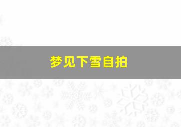 梦见下雪自拍