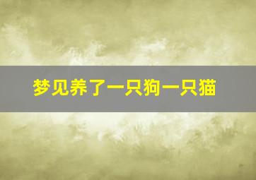 梦见养了一只狗一只猫