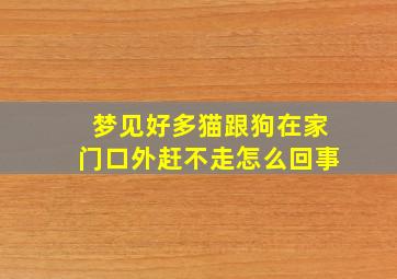 梦见好多猫跟狗在家门口外赶不走怎么回事