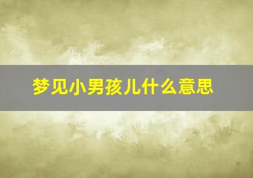 梦见小男孩儿什么意思