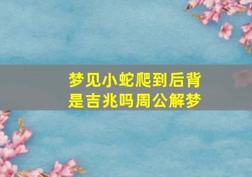 梦见小蛇爬到后背是吉兆吗周公解梦