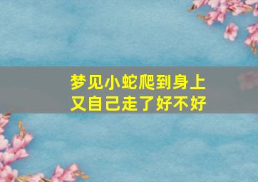 梦见小蛇爬到身上又自己走了好不好