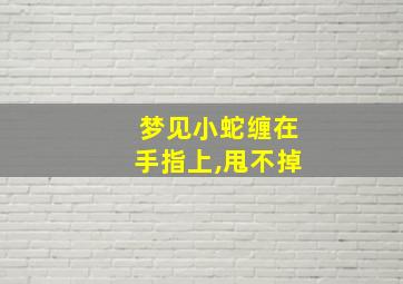 梦见小蛇缠在手指上,甩不掉