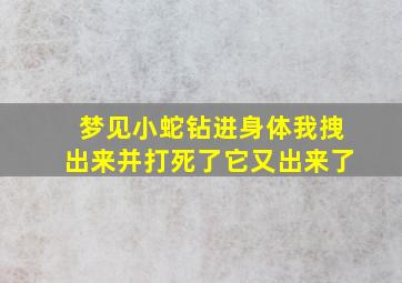 梦见小蛇钻进身体我拽出来并打死了它又出来了