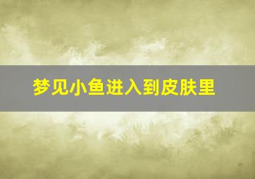 梦见小鱼进入到皮肤里