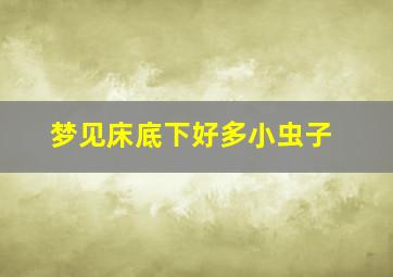 梦见床底下好多小虫子