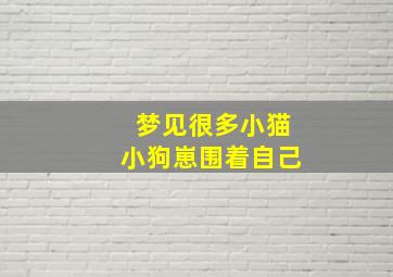 梦见很多小猫小狗崽围着自己