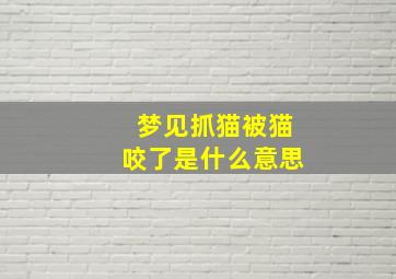 梦见抓猫被猫咬了是什么意思