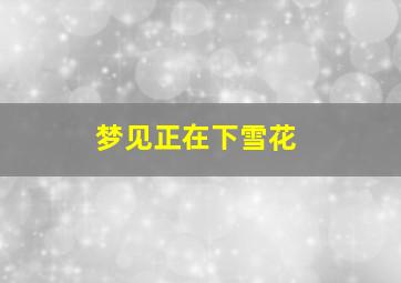 梦见正在下雪花