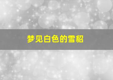 梦见白色的雪貂