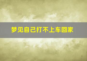 梦见自己打不上车回家