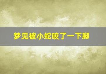 梦见被小蛇咬了一下脚