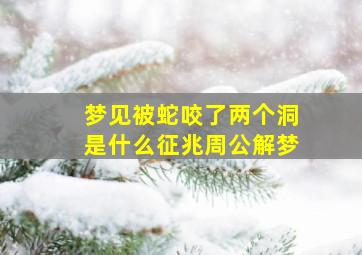 梦见被蛇咬了两个洞是什么征兆周公解梦