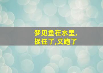 梦见鱼在水里,捉住了,又跑了