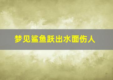 梦见鲨鱼跃出水面伤人