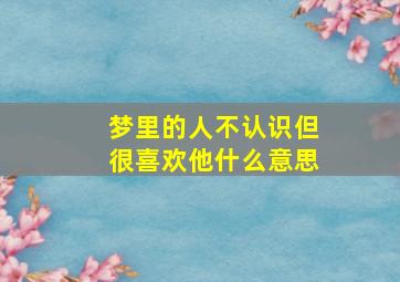 梦里的人不认识但很喜欢他什么意思