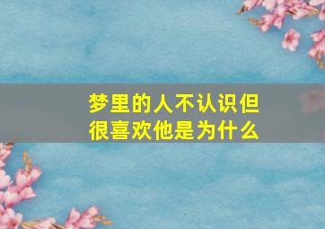 梦里的人不认识但很喜欢他是为什么