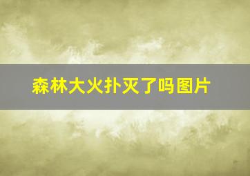 森林大火扑灭了吗图片