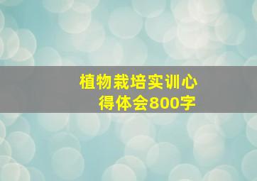 植物栽培实训心得体会800字