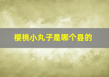 樱桃小丸子是哪个县的